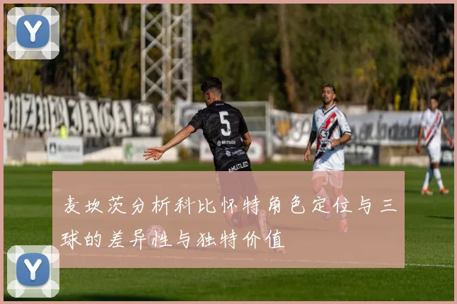 麦坎茨分析科比怀特角色定位与三球的差异性与独特价值